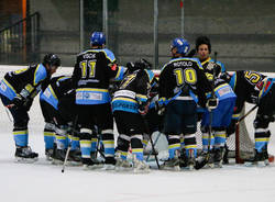 gruppo killer bees hockey ghiaccio 