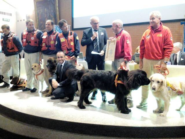 IMG 20151025 115336