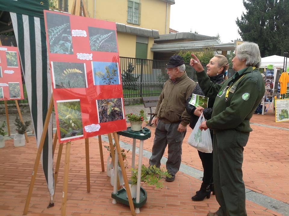 In tantissimi per "Il sapere dei sapori" in piazza
