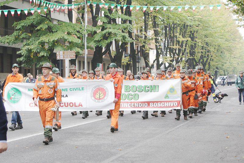 L'adunata degli alpini