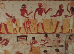 La Magnolia Grandiflora