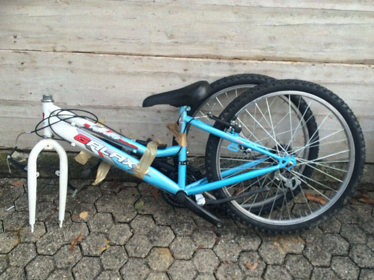 Le foto delle biciclette rubate