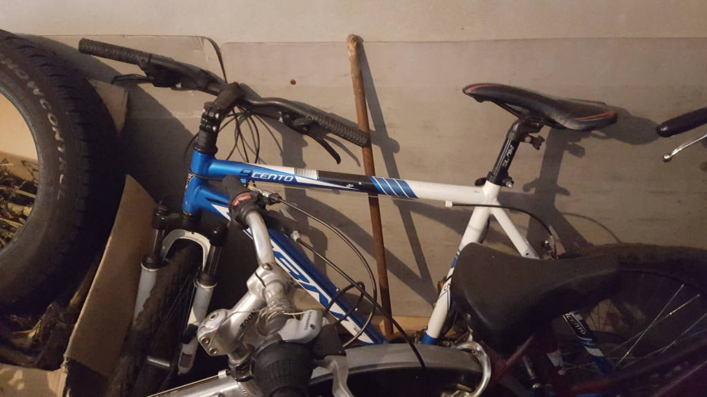 Le foto delle biciclette rubate