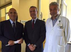 luca marsico armando gozzini