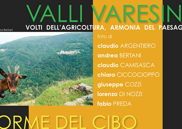 mostra fotografica afi palazzo cicogna