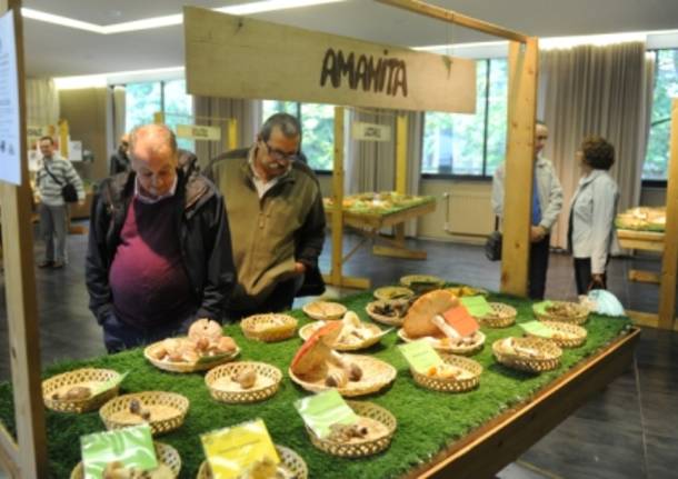 mostra micologica