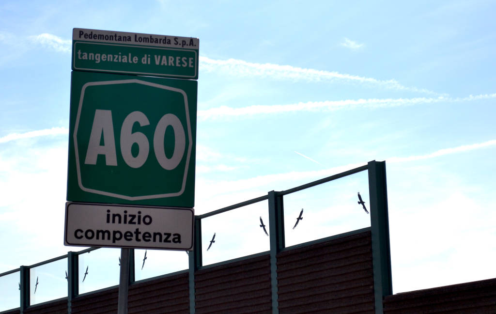 Pedemontana varese