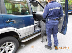 polizia locale legnano marijuana