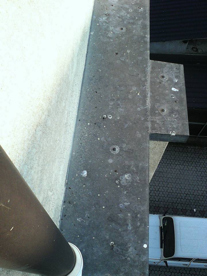 Troppi piccioni a Gazzada