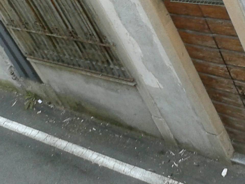 Troppi piccioni a Gazzada