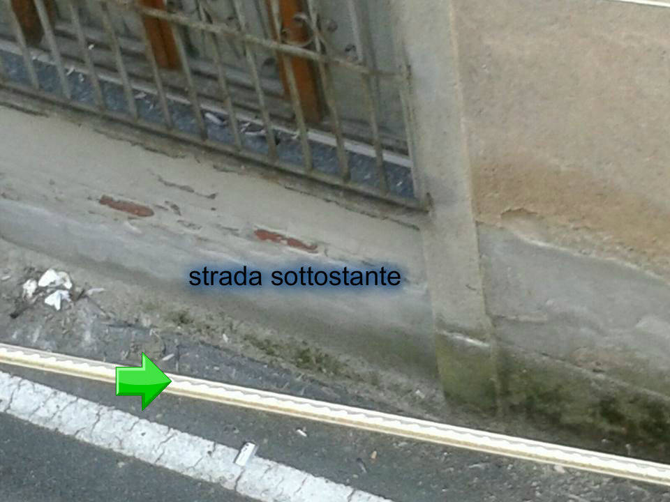 Troppi piccioni a Gazzada