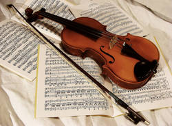 Violino