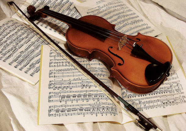 Violino