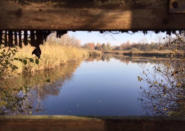 La Palude Brabbia, sogno d’autunno