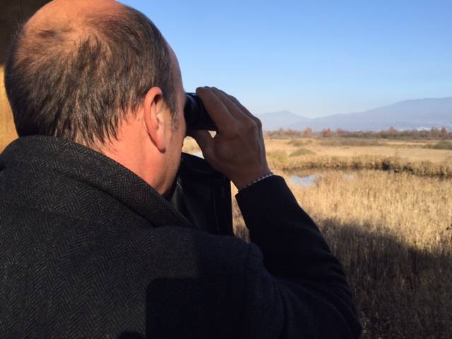 11 novembre 2015 palude brabbia inarzo