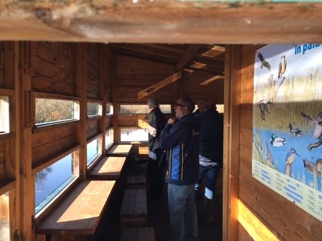 11 novembre 2015 palude brabbia inarzo