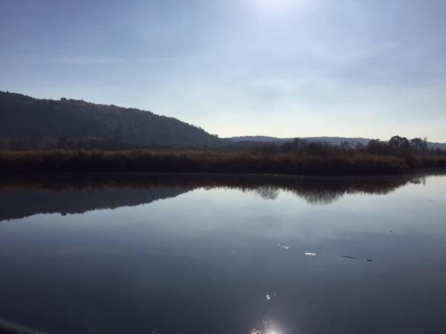 11 novembre 2015 palude brabbia inarzo