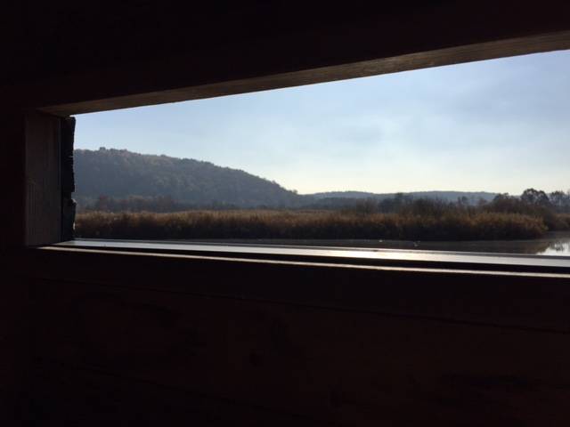 11 novembre 2015 palude brabbia inarzo