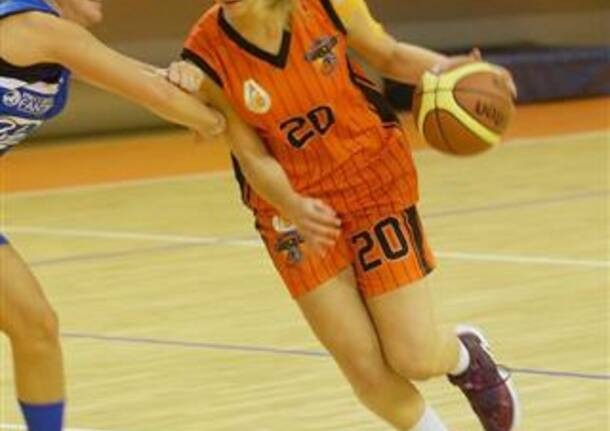 Basket: Canegrate – Pontevico novembre 2015