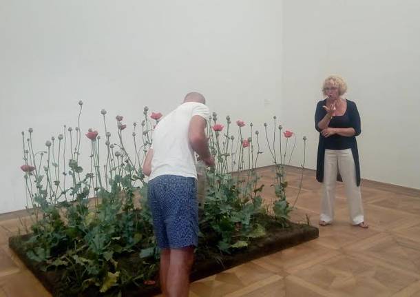 Arte - Mostre