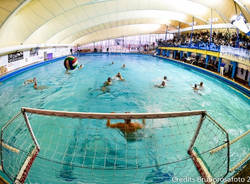 bogliasco bpm sport management
