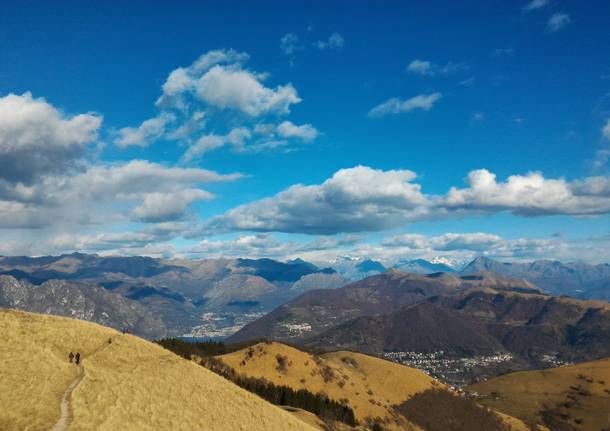 dal monte generoso