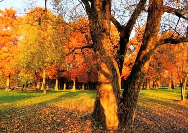 Foto del giorno Novembre 2015