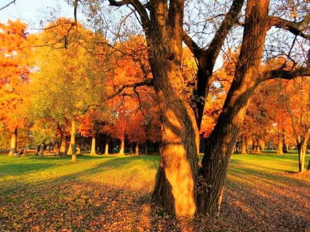 Foto del giorno Novembre 2015