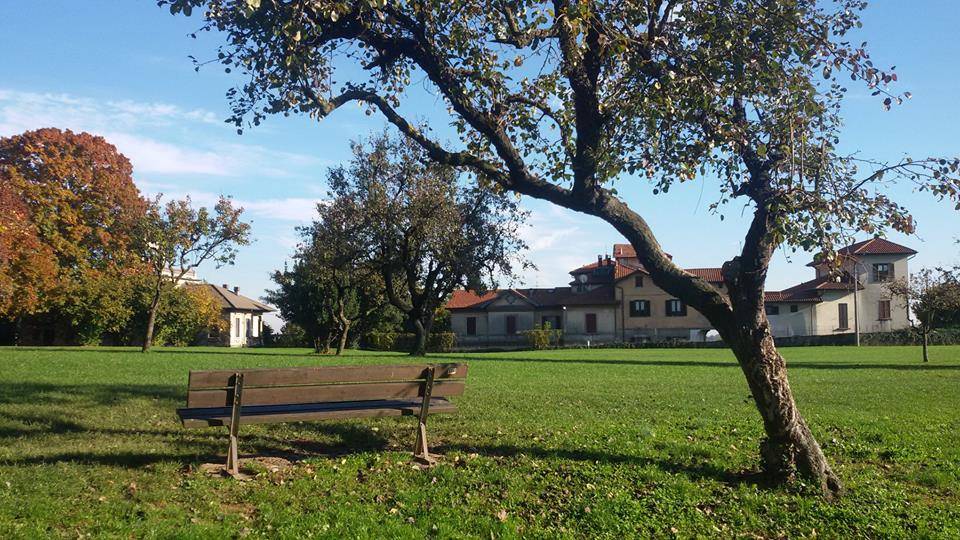 Foto del giorno Novembre 2015