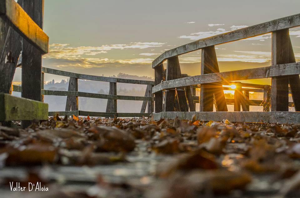 Foto del giorno Novembre 2015