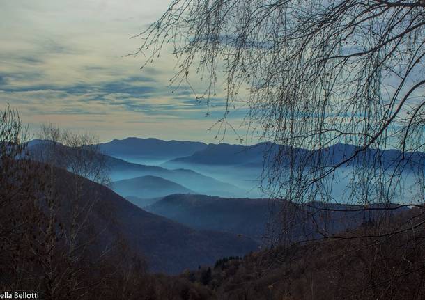 Foto del giorno Novembre 2015