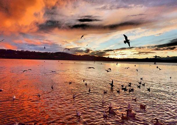 Foto del giorno Novembre 2015