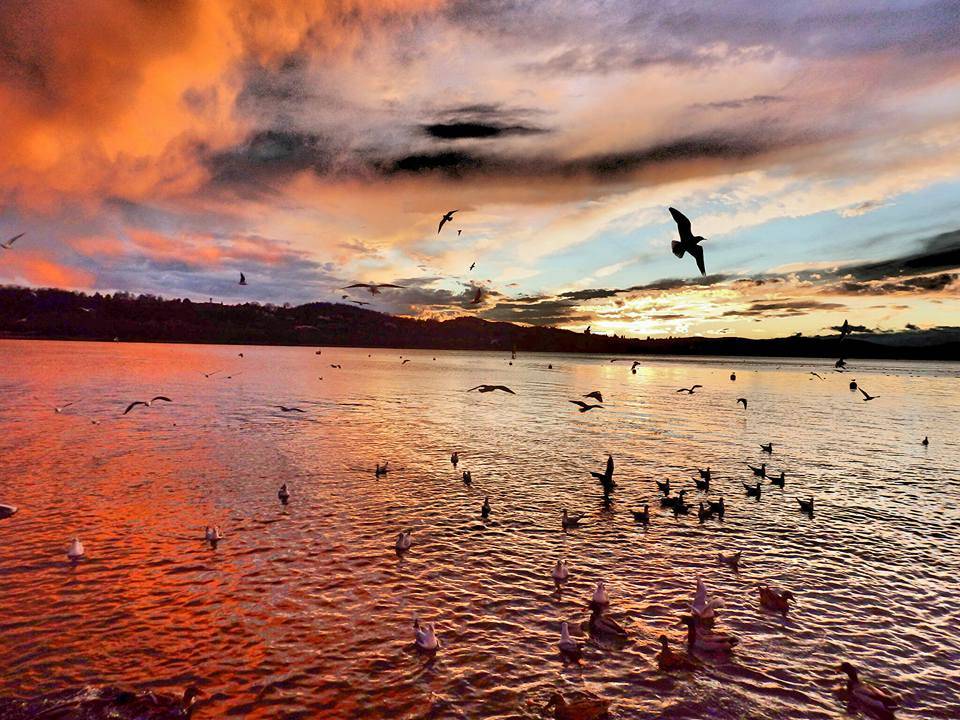 Foto del giorno Novembre 2015