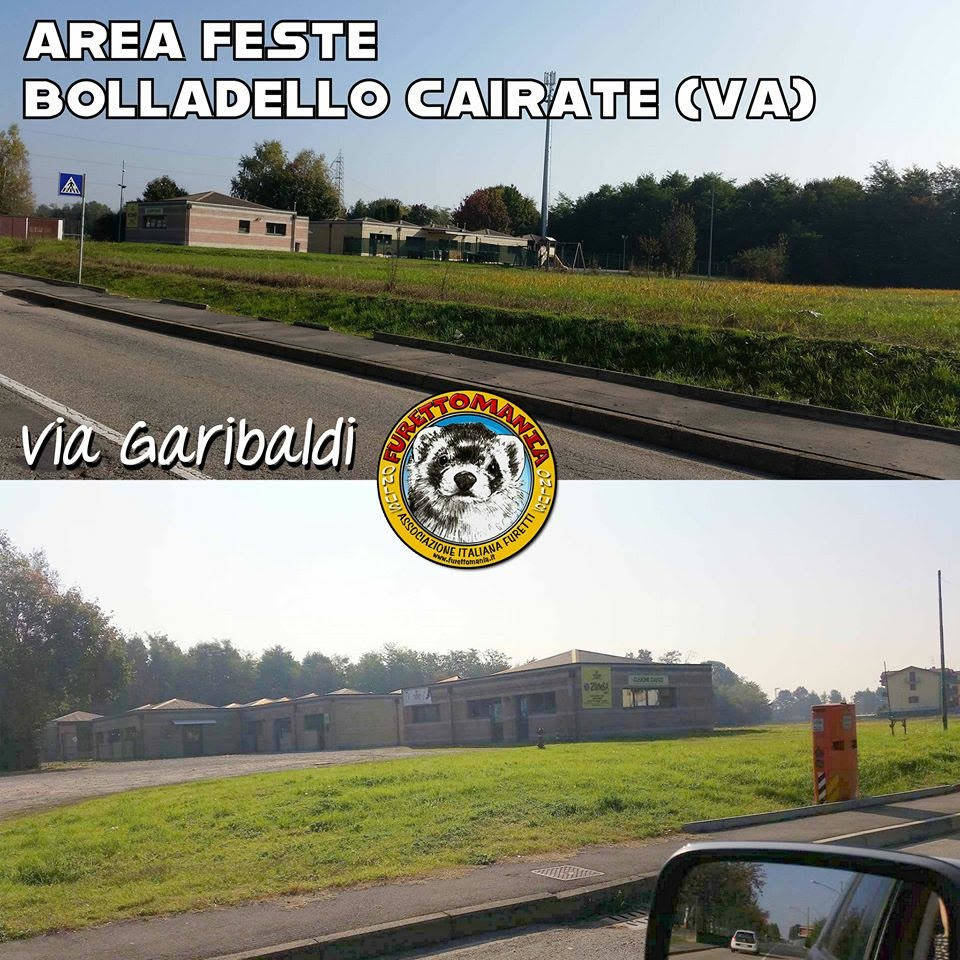 Furetti in festa a Cairate