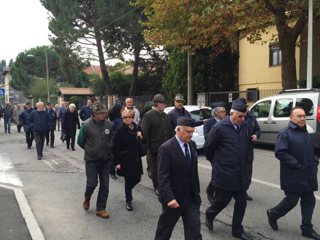 gallarate, cedrate, 4 novembre