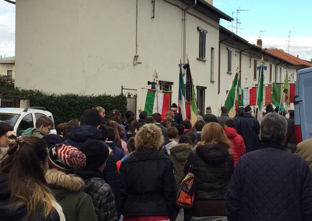 gallarate, cedrate, 4 novembre