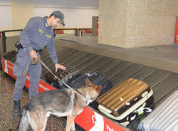 I sequestri della Guardia di Finanza durante Expo