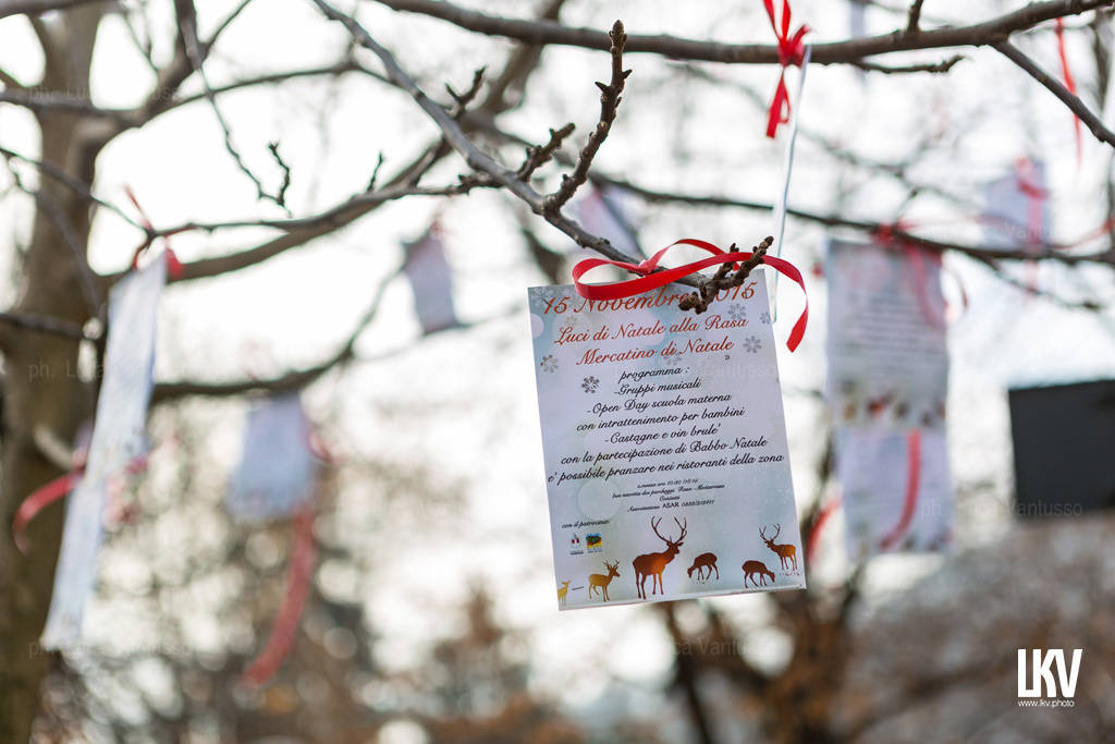 Il mercatino di Natale della Rasa