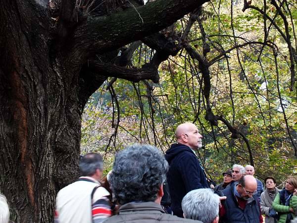 In centinaia per la "lezione" di Daniele Zanzi