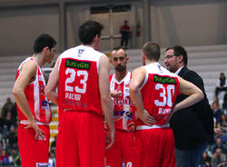 knights legnano basket