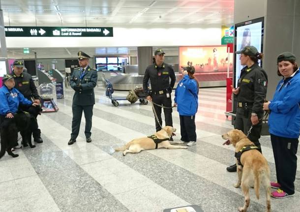 malpensa disabili guardia di finanza