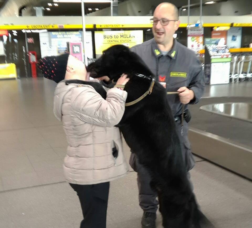 malpensa disabili guardia di finanza