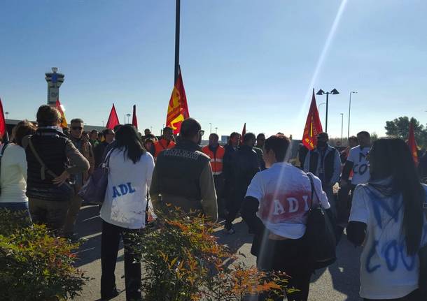 manifestazione adl malpensa