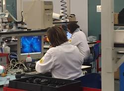Pmi day alla Btsr di Olgiate Olona