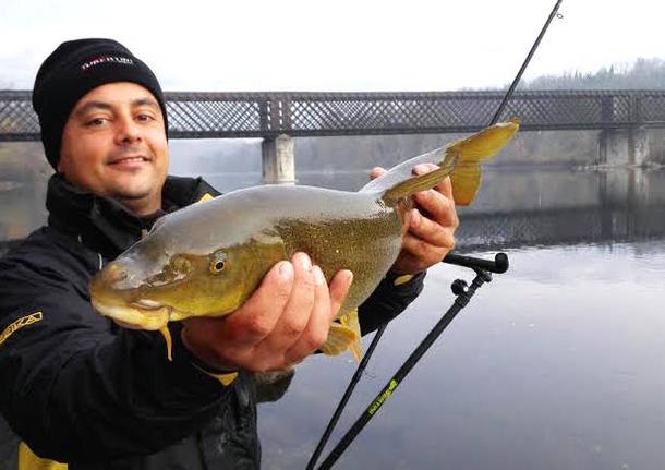 Barbo A Feeder Quando Dove E Periodo Migliore Per Questa Tecnica