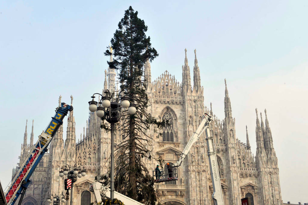 Albero Di Natale Milano.L Albero Di Natale In Duomo Varesenews Foto