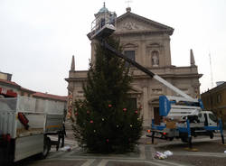 Albero di Natale e Saronno