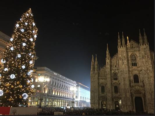 albero duomo 9 dicembre 2015
