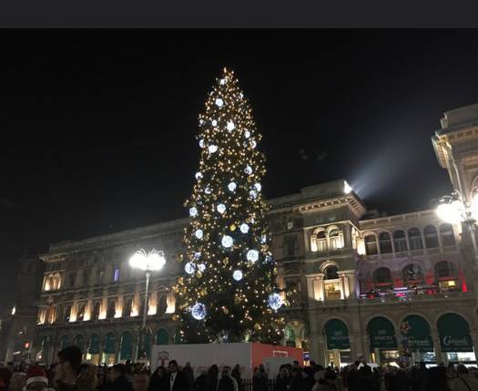 albero duomo 9 dicembre 2015