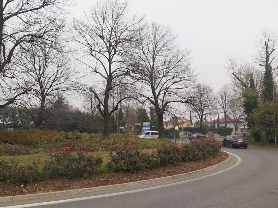 "Altarino" magico a Cedrate di Gallarate